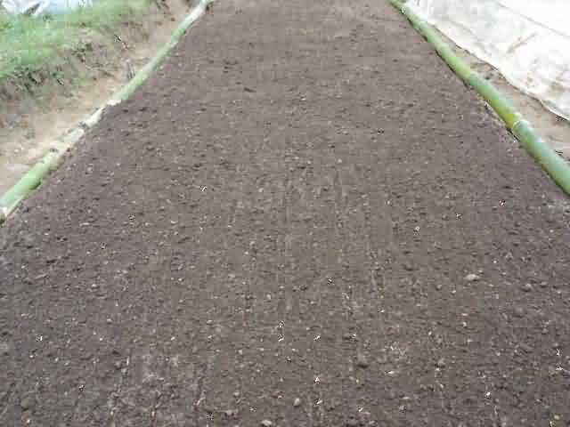 The Dry Bed Nursery