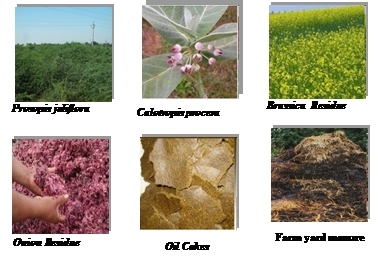 addition of organic amendments in the soil not only increases the soil fertility level 