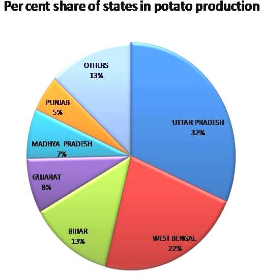 state wise potato seed production