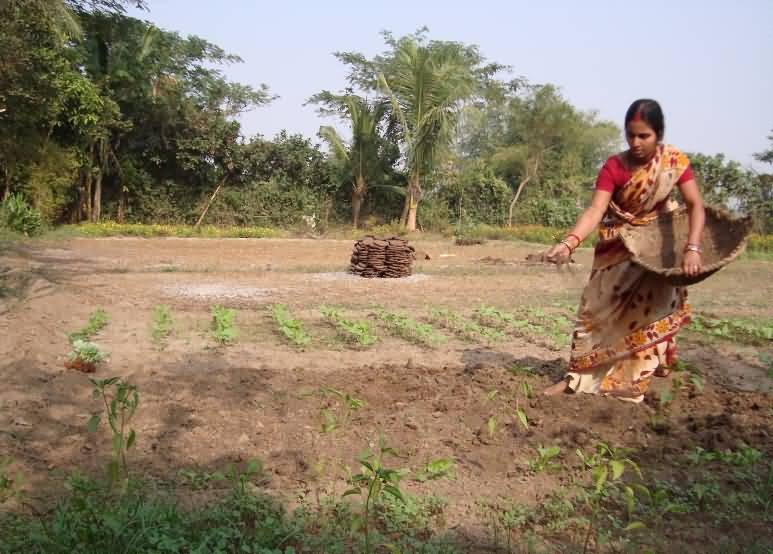 कृषि-आदानों और उन तक ग्रामीण महिलाओं की पहुंच