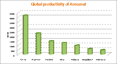 Arecanut productivity in different countries