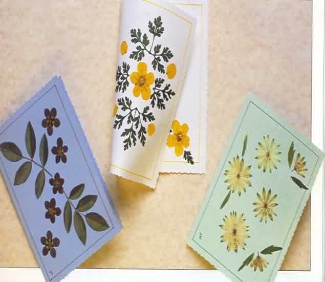 Floral greeting cards