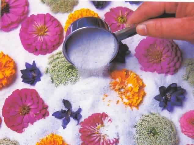 Embeding of flowers in silica gel