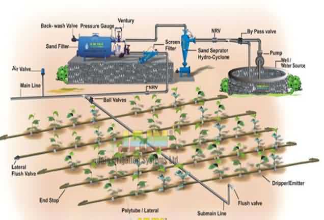 ड्रिप सिंचाई प्रणाली की व्यवस्था