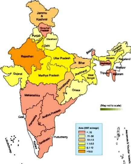 Mustard zones of India