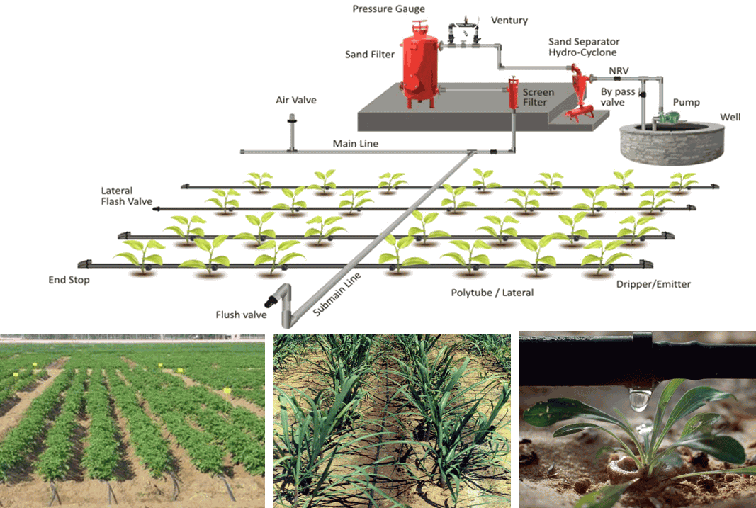 fertigation system