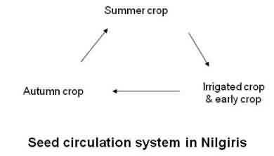 Potato seed circulation system in Nilgiris