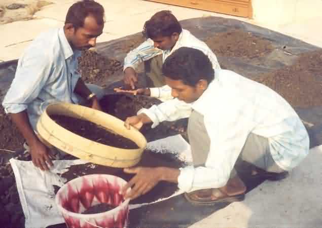  Vermicompost harvesting