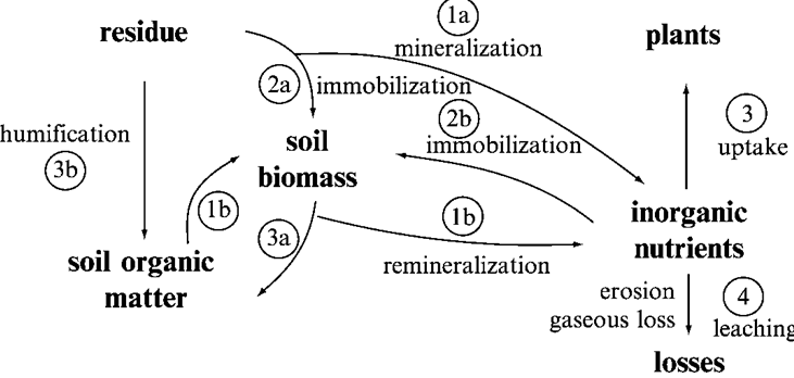 crop residue burning