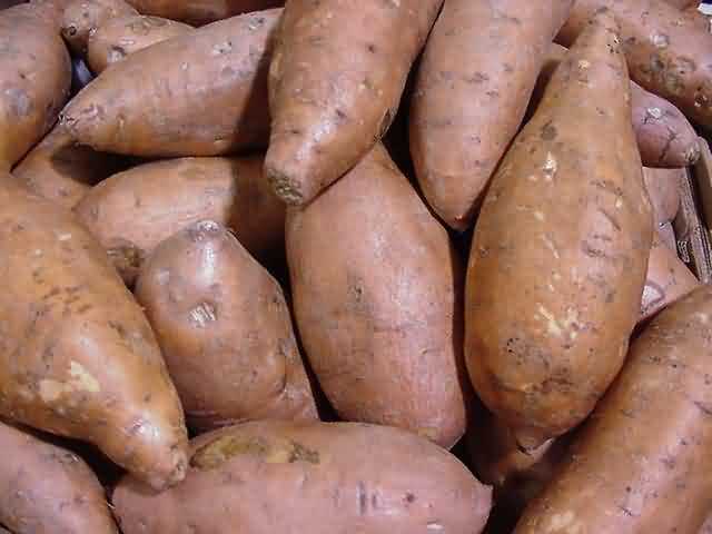 sweet potato