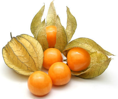 Cape Gooseberry or Rasbhari crop