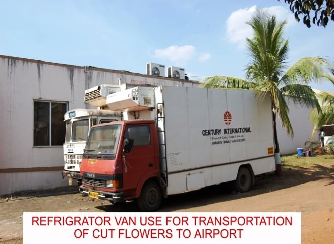 Reefer Van fortransport of cut flowers