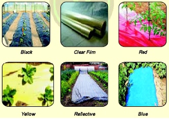 Different type of plastic mulch