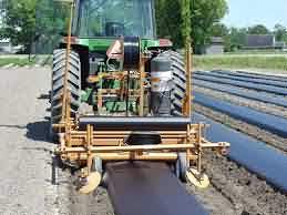 laying plastic mulch in field