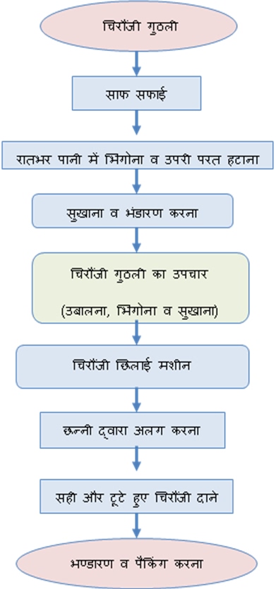 चिरौंजी प्रसंस्करण की उन्नत विधि