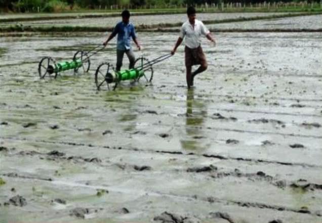 मशीन से धान की रोपाई के लिए खेत की पडलिंग