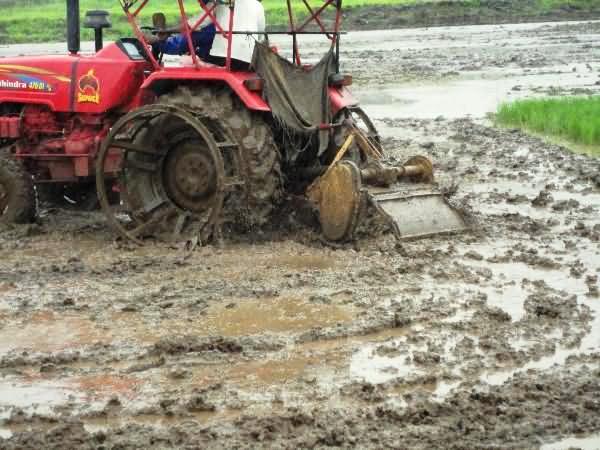 Puddling for paddy transplanting