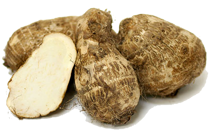 Arbi or colocasia tuber vegetable
