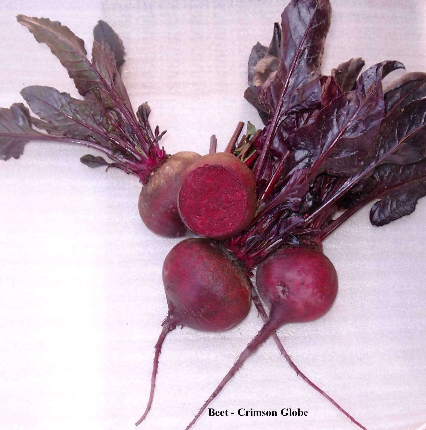 Beet root