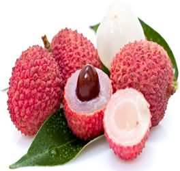 Nutrient fruit Lychee