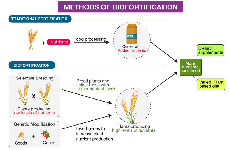 Methods of biofortification