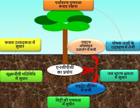 Effect of biodegradable NCPC fertilizer in soil-plant-atmosphere system