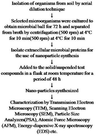 Methodology for nanoparticle synthesis from microorganisms   