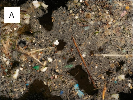 Microplastics polluting water