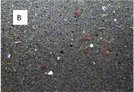 Microplastics polluting pond water