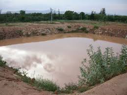 Pond in field