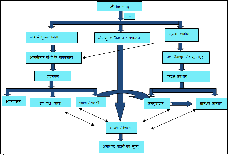 Organic fertilizer nutrient circulation