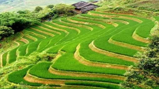  terracing with vegetation hills