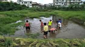 Weeds in fish pont