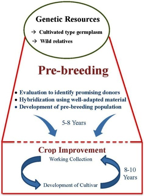 Pre breeding concept