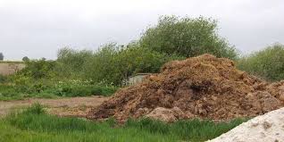 Add vermicompost to the soil