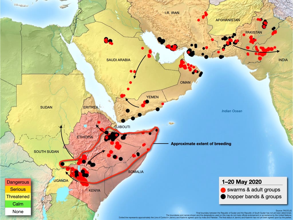 Spread of locust Swarms