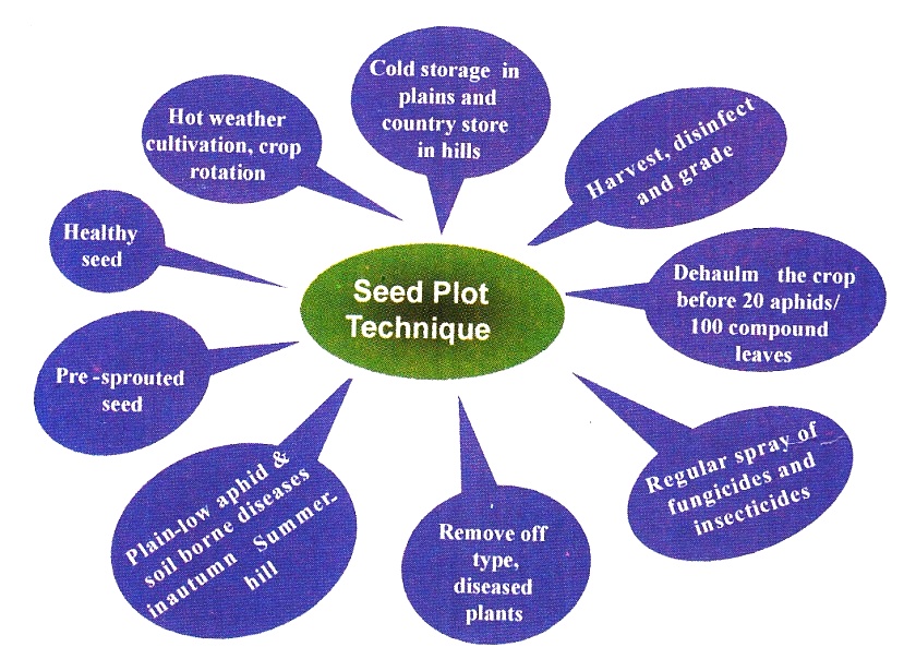 seed plot techniques  Due to seed plot technique, it became possible to grow healthy seed in the plains, consequently, the North Western