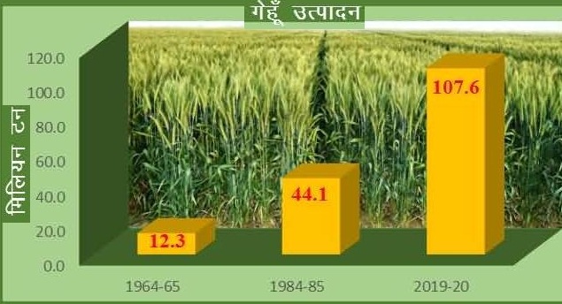 हरित क्रांति के बाद गेहूँ उत्पादन में ऐतिहासिक वृद्धि