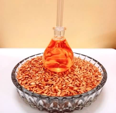 Wheat oil