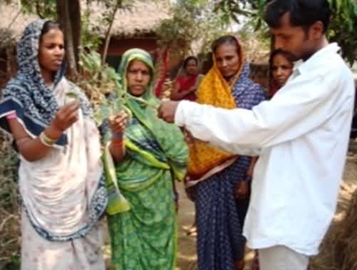  women to agriculture 